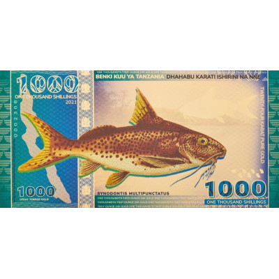 Tanzania 1000 Shilling Lake Tanganyika Catfish