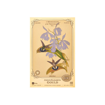 Colecția John și Elizabeth Gould - Colibri
