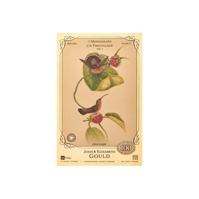 Colecția John și Elizabeth Gould - Colibri