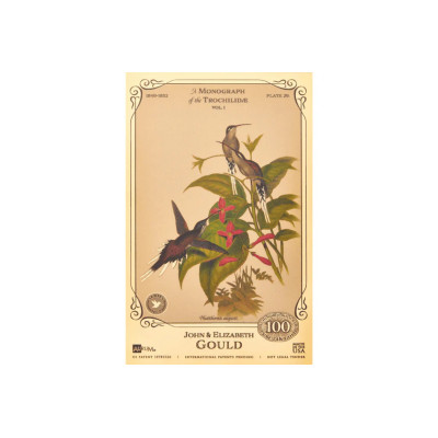 Colecția John și Elizabeth Gould - Colibri