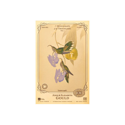 Colecția John și Elizabeth Gould - Colibri