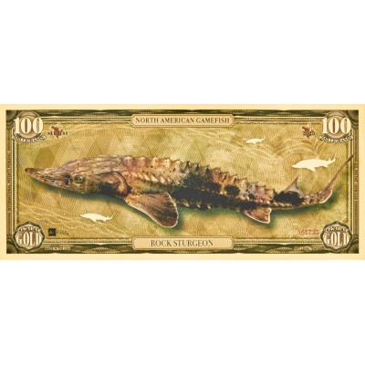 Rock Sturgeon - bancnotă din aur de 24k - Seria I